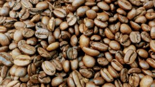 バリのキンタマーニアラビカコーヒーの魅力