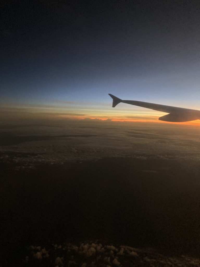 これからの旅路