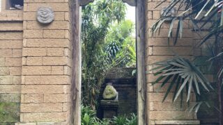 バリコーヒーの魅力と歴史