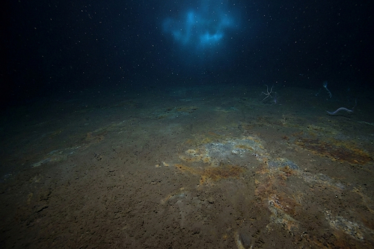 深海底に広がるレアアース泥の堆積層。5000メートルを超える深海の暗闇の中、泥状の堆積物が海底を覆っている様子
