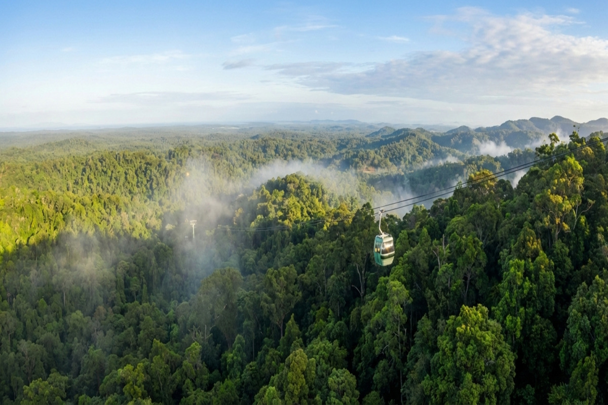 キュランダ スカイレール - 世界遺産の熱帯雨林の樹冠の上を飛ぶゴンドラと広大な緑の絨毯
