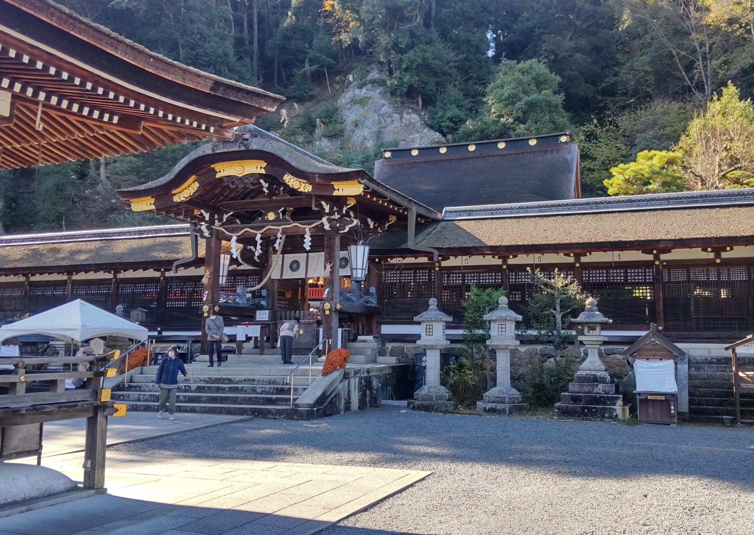 松尾大社の鳥居と境内の様子。朱色の鳥居が緑の木々に映える京都の風景